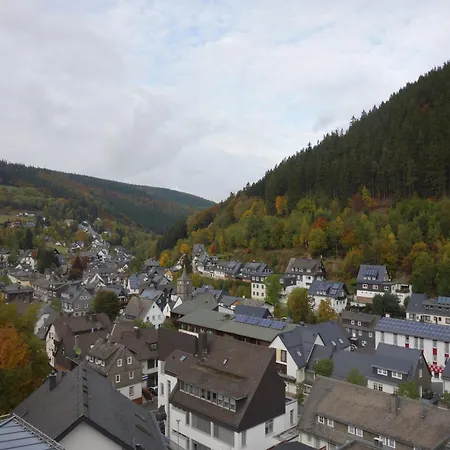 Apartment In The Centre Of With View Willingen (Upland)