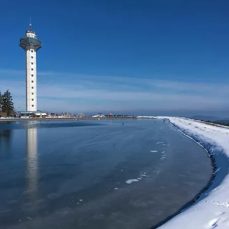 In The Centre Of With View