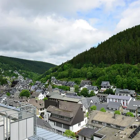 In The Centre Of With View * Willingen (Upland)