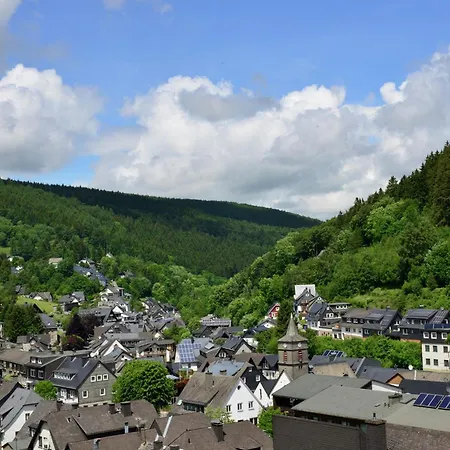Appartement In The Centre Of With View Willingen (Upland)