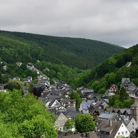 In The Centre Of With View Appartement Willingen (Upland)