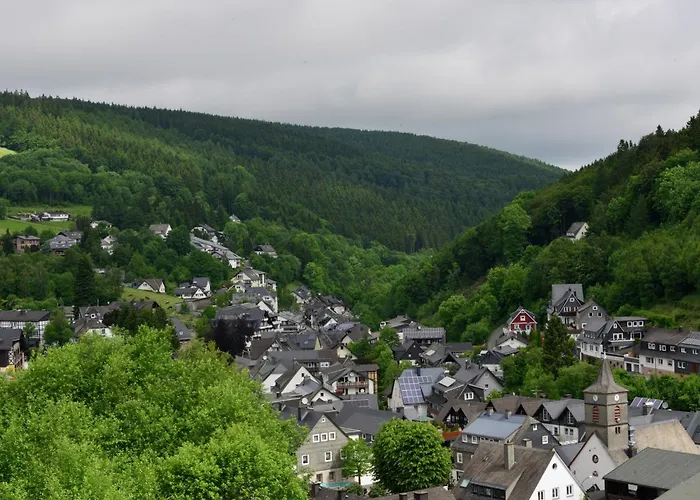 In The Centre Of With View Willingen (Upland)