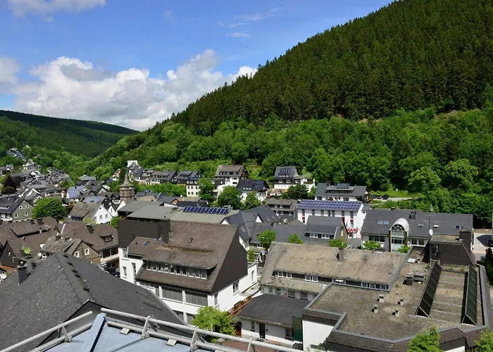 In The Centre Of With View * Willingen (Upland)
